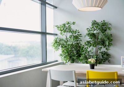 亚洲博彩网站揭秘：用趣味训练激活桌游玩法的运气潜能