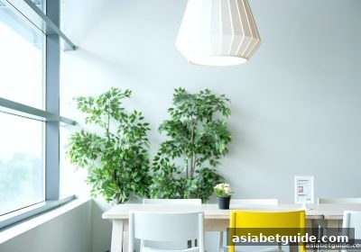 亚洲博彩网站中二十一点进阶策略：从概率到资金管理的全面指南