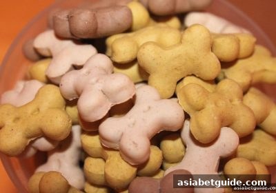 亚洲博彩网站每日签到奖励与风控解除全面指南