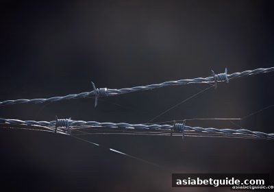 亚洲博彩网站合规指南：菲律宾电子游戏平台的法律框架与玩家须知